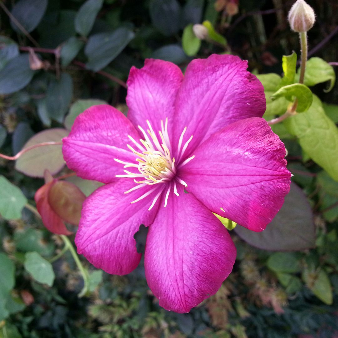  photo 20140909_171437-1_zpsr0rhavuy.jpg